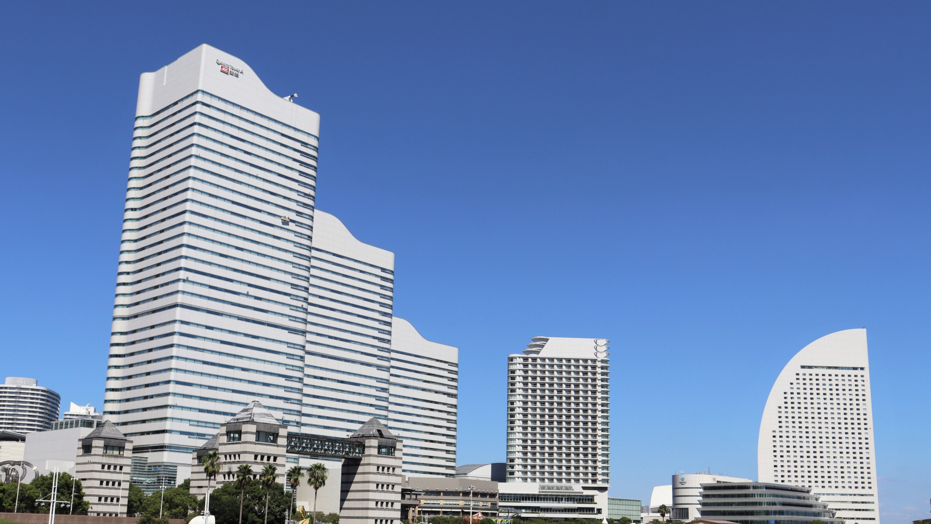 神奈川県全域と東京都内に行政書士が対応