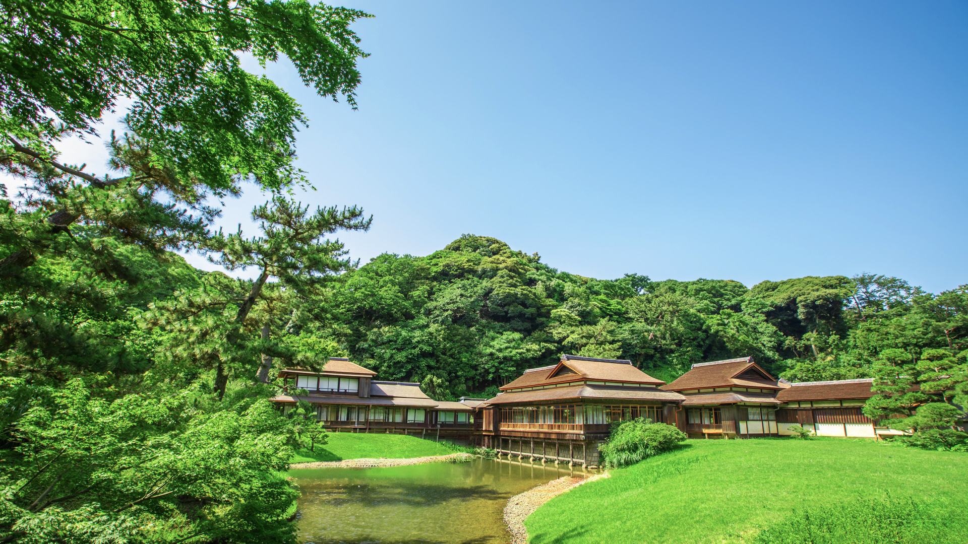 行政書士が対応！横浜市・川崎市・大和市・藤沢市・相模原市など神奈川県全域と世田谷区や大田区など東京都南部までOK