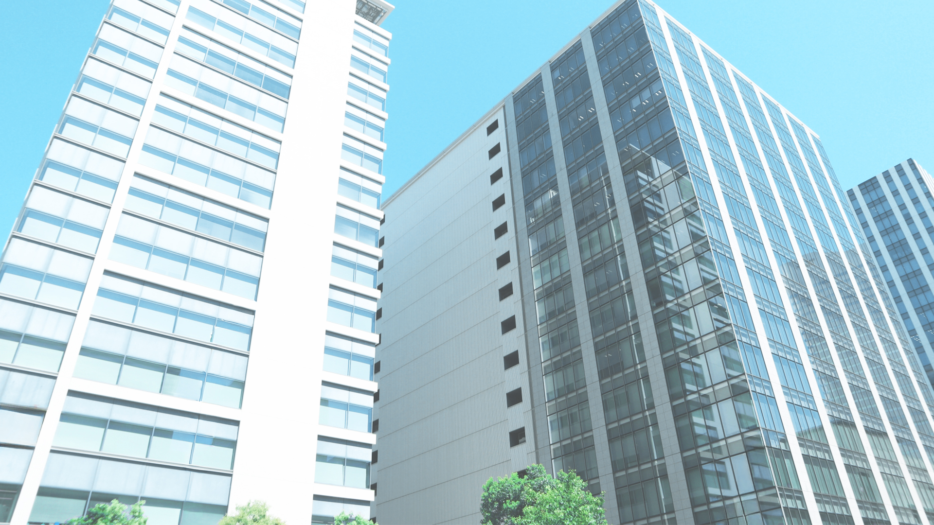 行政書士e-LOOP法務事務所-横浜市・藤沢市・川崎市・大和市・相模原市など神奈川県内に対応