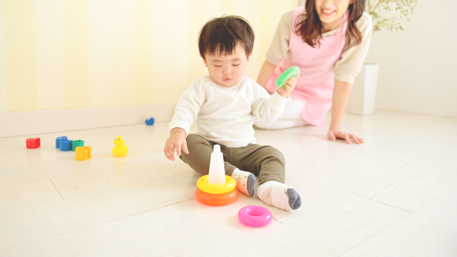 障害福祉サービス指定の概要