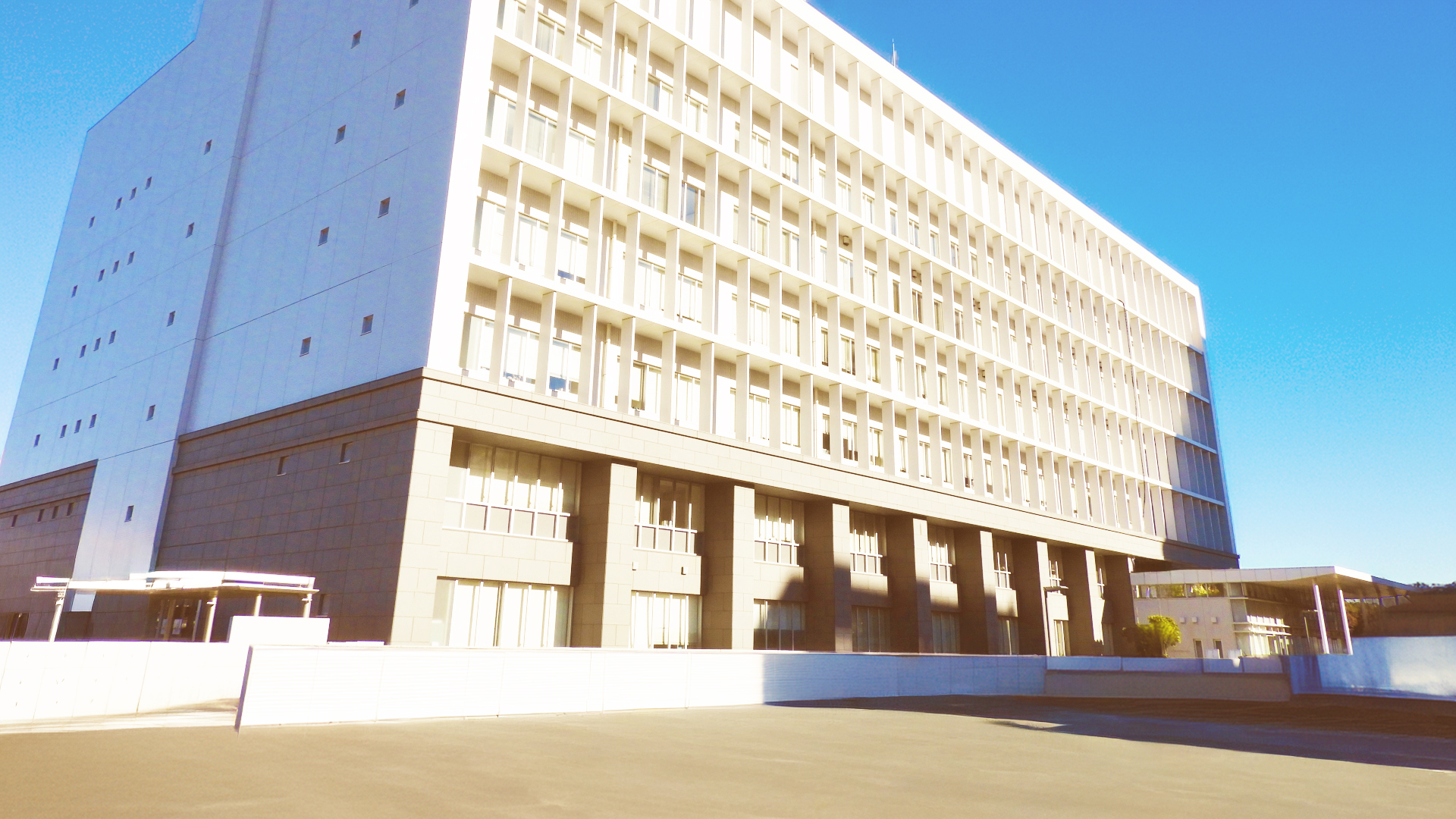 当行政書士事務所対応地域:横浜市・川崎市・藤沢市・大和市・相模原市など神奈川県全域、障害福祉関連の申請手続代行に対応